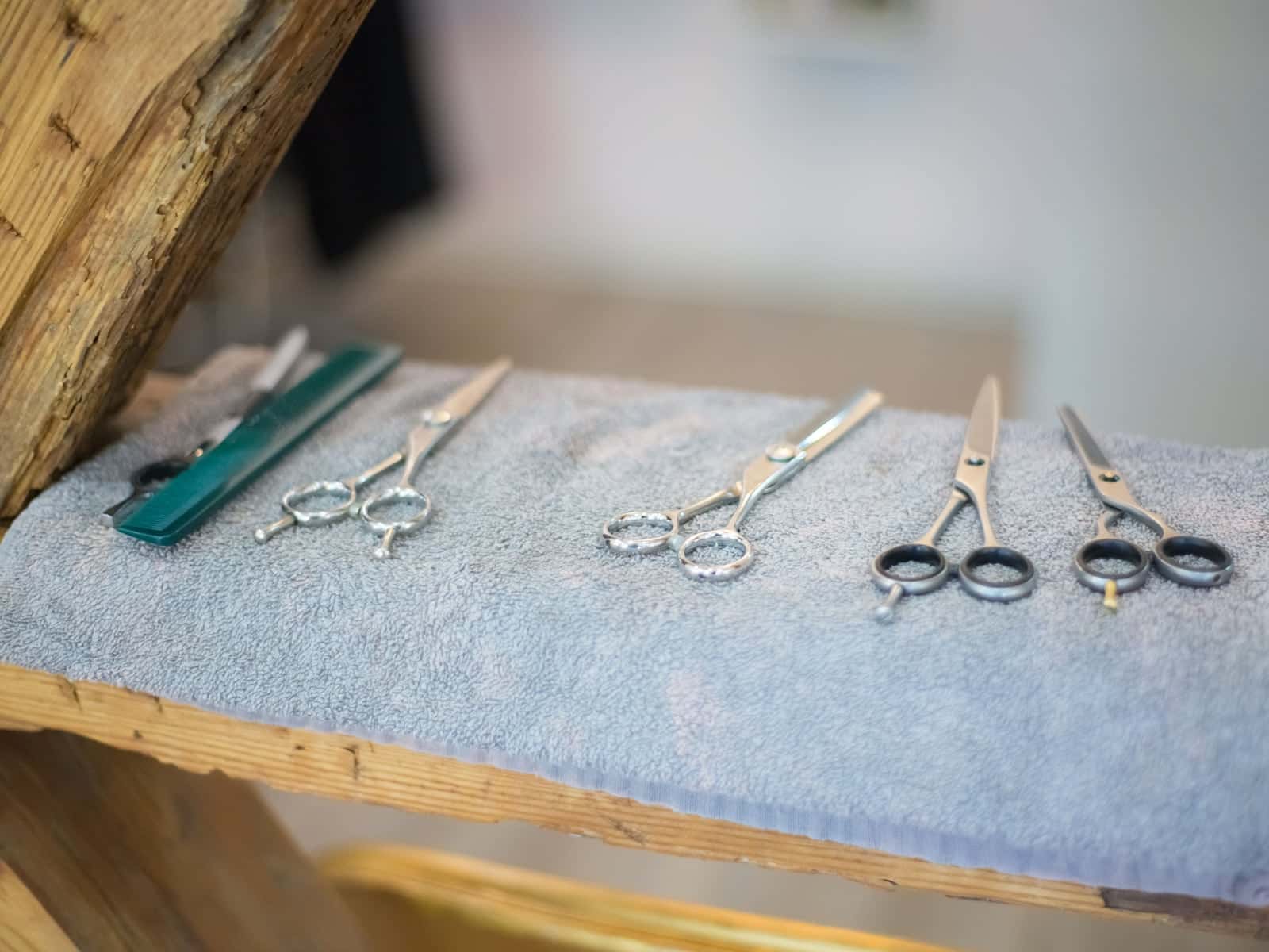 Professional Cutting Shears Set